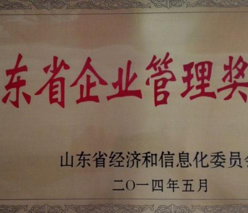 集团公司荣获第三届“山东省企业管理奖”